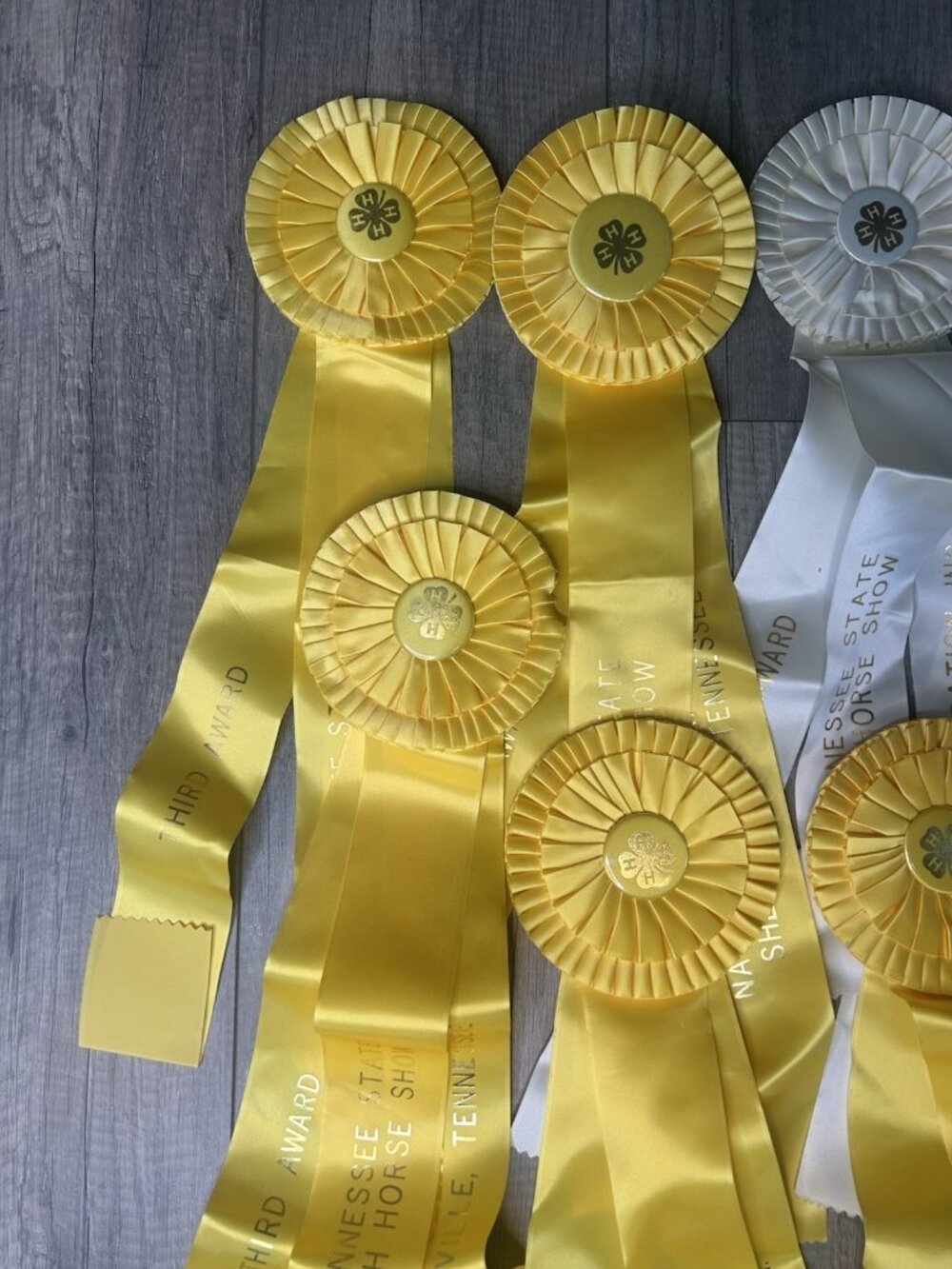 Show Ribbons 4-H Club Rosettes Craft Equestrian Tennessee Shelbyville Lot Of 19 - Picture 8 of 16